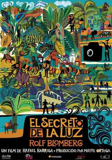 El secreto de la luz