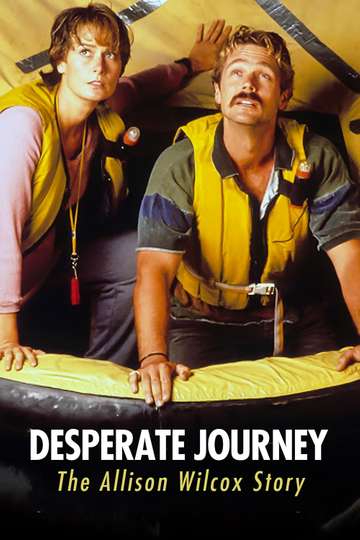 Desperate Journey: The Allison Wilcox Story Poster