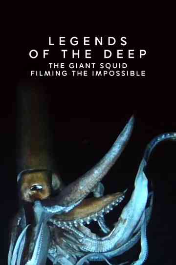 Legends of the Deep: The Giant Squid