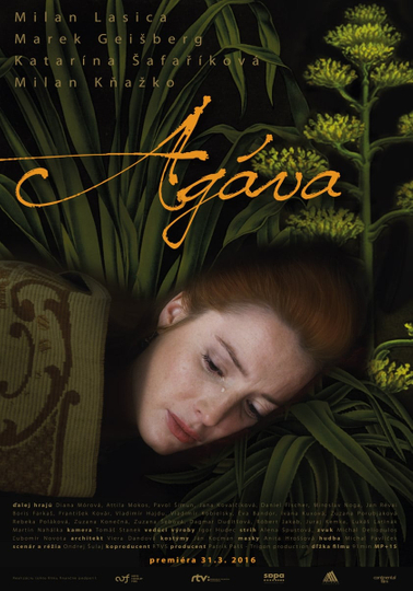 Agáva Poster