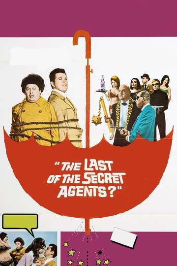 The Last of the Secret Agents Poster