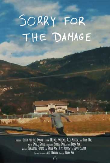 Sorry For the Damage Poster