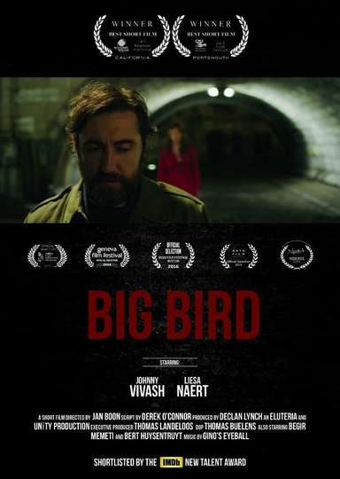 Big Bird - Movie Cast, Reviews, Trailers & Streaming Info | Moviefone