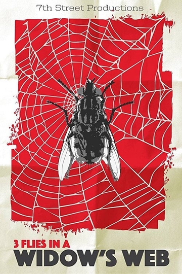 3 Flies in a Widows Web Poster