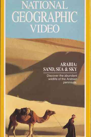 Arabia Sand Sea  Sky