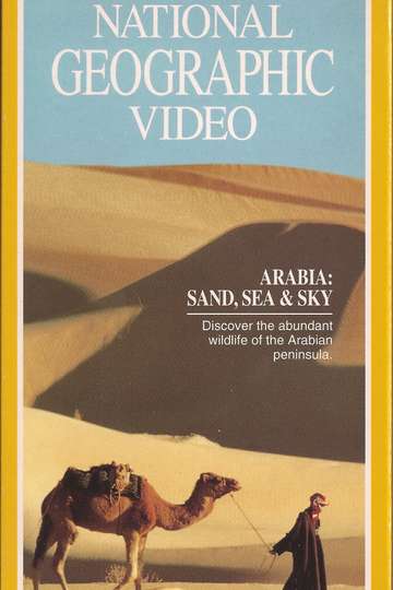 Arabia Sand Sea  Sky