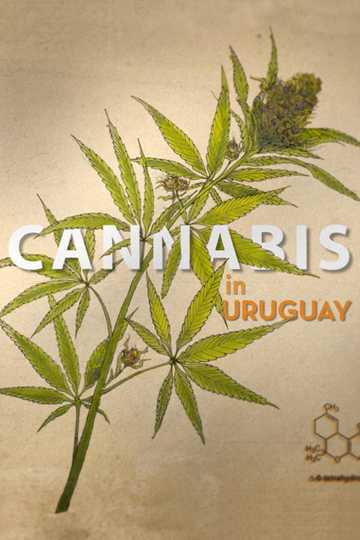 Cannabis in Uruguay