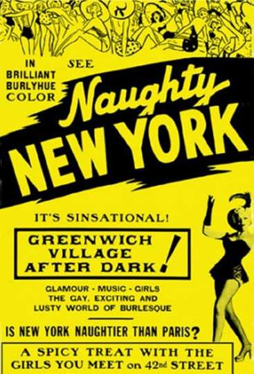 Naughty New York Poster