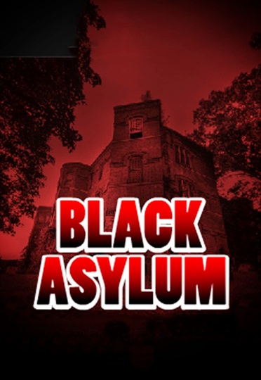 Black Asylum Poster