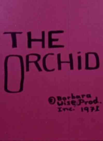 The Orchid