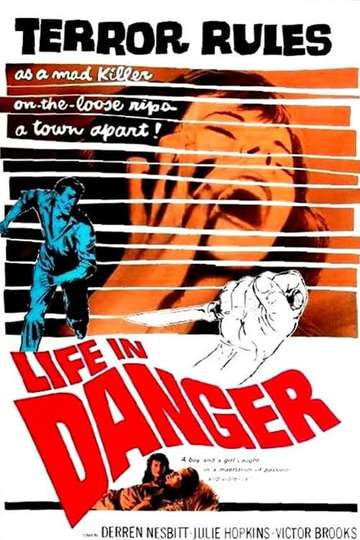 Life in Danger Poster