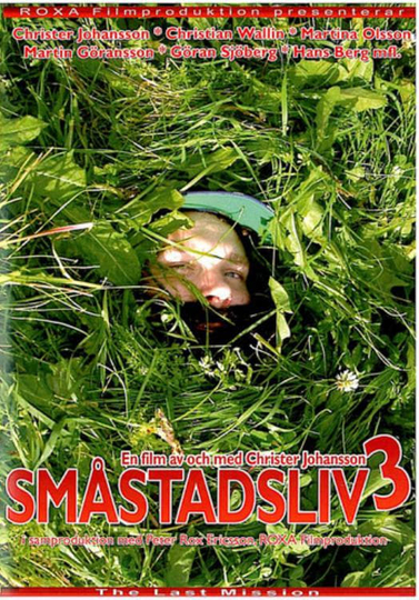 Småstadsliv 3 Poster