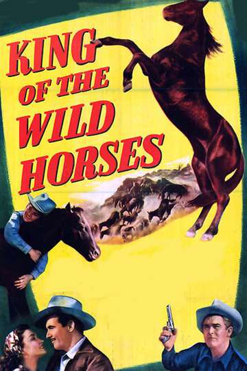 King of the Wild Horses Poster