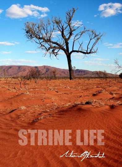 Strine Life Poster