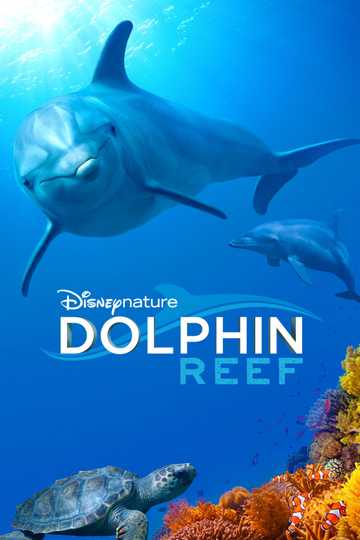 Dolphin Reef Poster