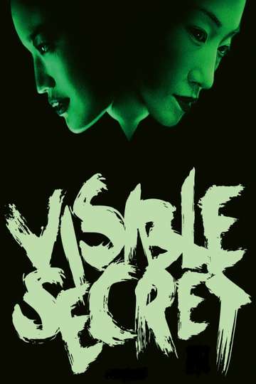 Visible Secret Poster