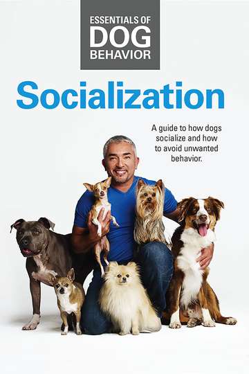 Essentials of Dog Behavior Socialization