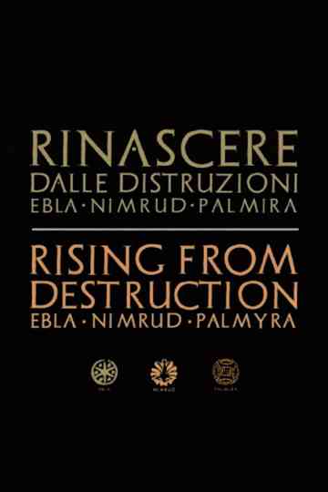 Palmyra Rising from the Ashes