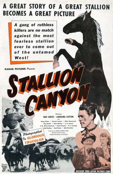 Stallion Canyon Poster