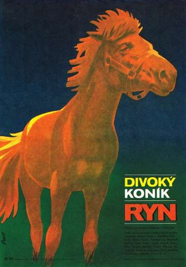 Divoký koník Ryn Poster