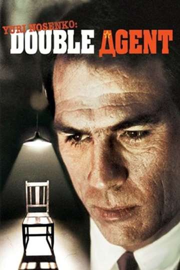 Double Image Poster