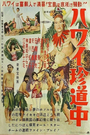 Road to Hawaii Poster