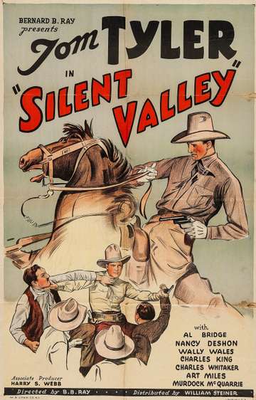 Silent Valley Poster