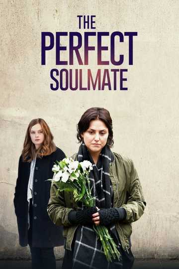 The Perfect Soulmate Poster