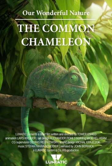 Our Wonderful Nature - The Common Chameleon Poster