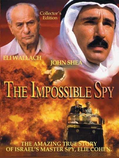 The Impossible Spy Poster