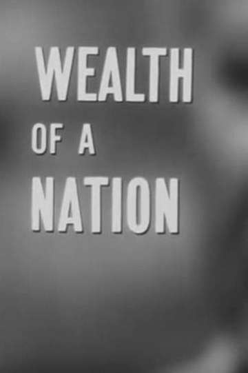 Wealth of a Nation Poster