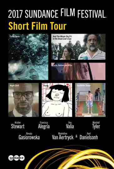 2017 Sundance Film Festival Short Film Tour Poster