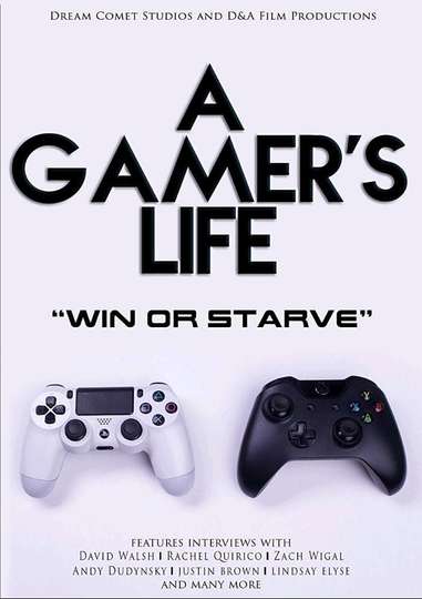 A Gamers Life Poster