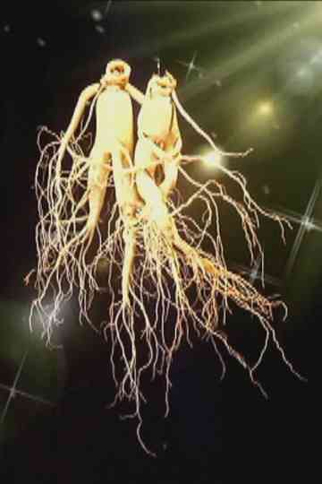 Visit to Kaesong, the Place of Ginseng