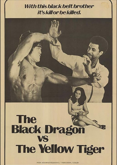 The Black Dragon vs. the Yellow Tiger Poster