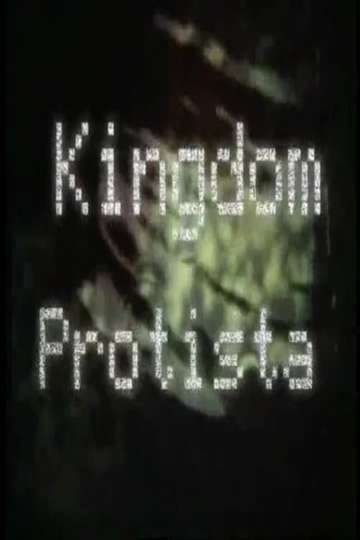 Kingdom Protista Poster