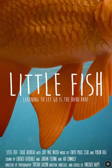 Little Fish Poster