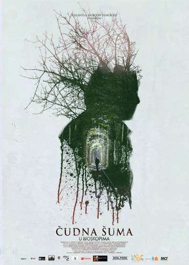 Strange Forest Poster