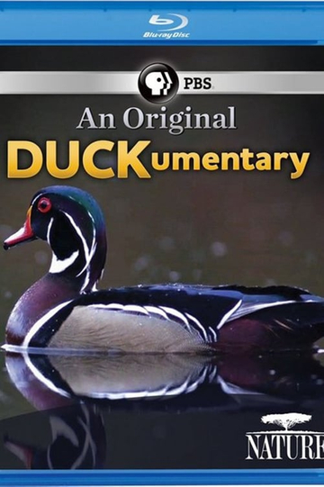 PBS Nature  An Original DUCKumentary