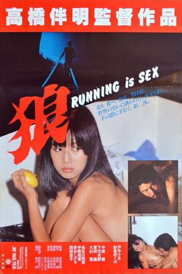 Wolf Running Is Sex Poster