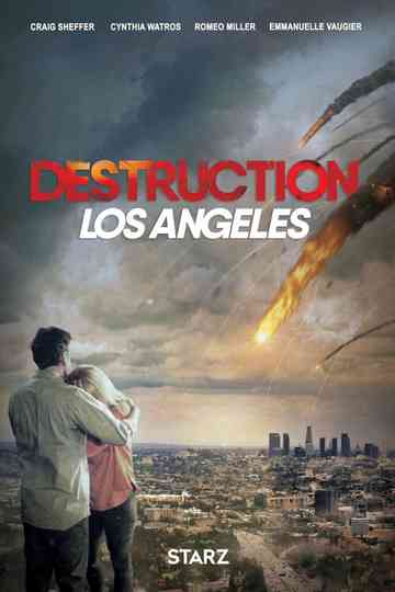 Destruction: Los Angeles Poster