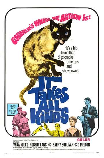 It Takes All Kinds Poster