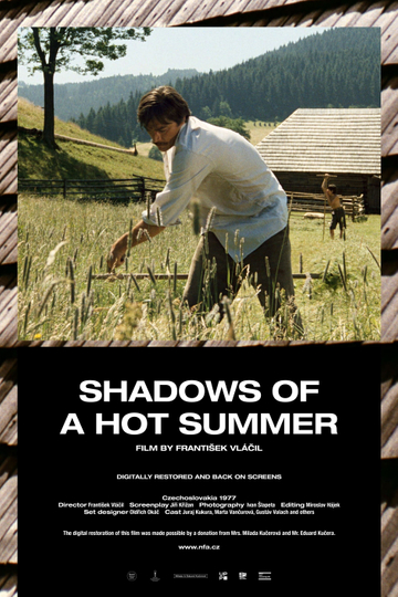 Shadows of a Hot Summer Poster