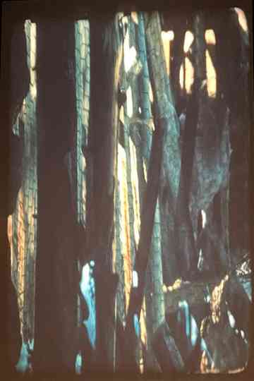 The Loom