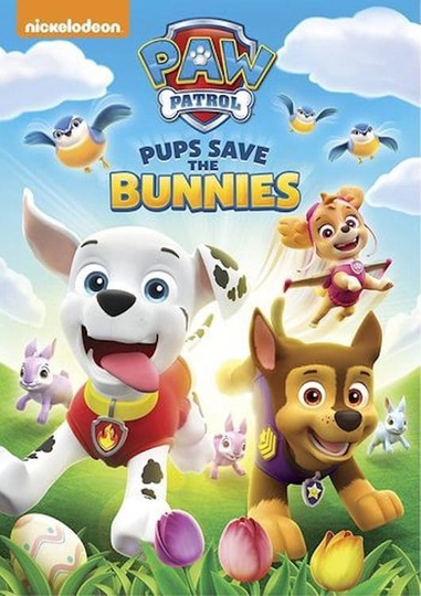 Paw Patrol  Pups Save the Bunnies