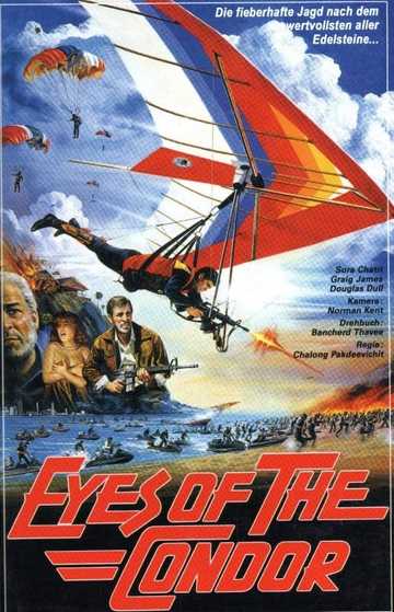 Eyes of the Condor Poster