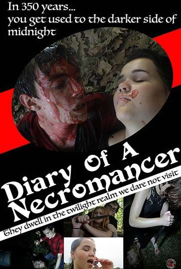 Diary of a Necromancer Poster
