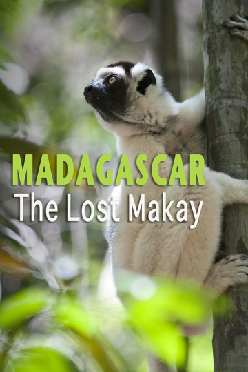 Madagascar The Lost Makay