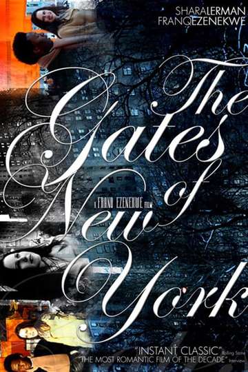 The Gates of New York Poster