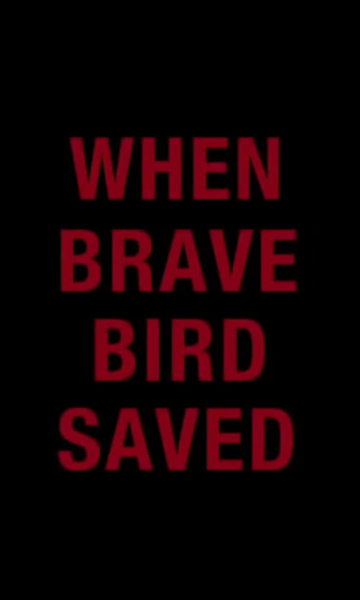 When Brave Bird Saved